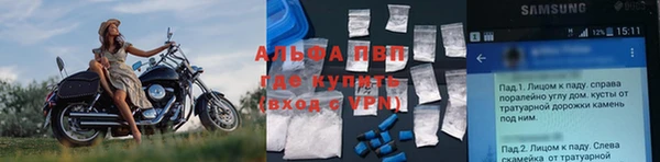 ПСИЛОЦИБИНОВЫЕ ГРИБЫ Баксан