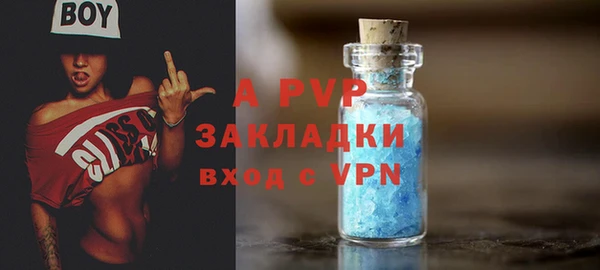 шишки Балахна