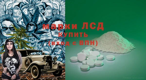 ПСИЛОЦИБИНОВЫЕ ГРИБЫ Баксан