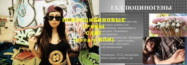 шишки Балахна