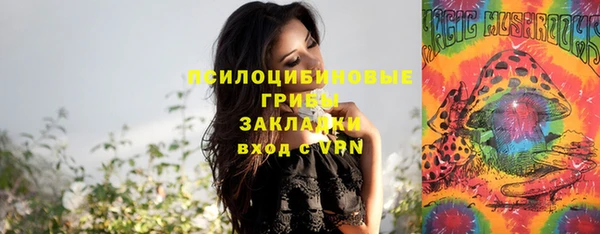 ПСИЛОЦИБИНОВЫЕ ГРИБЫ Баксан
