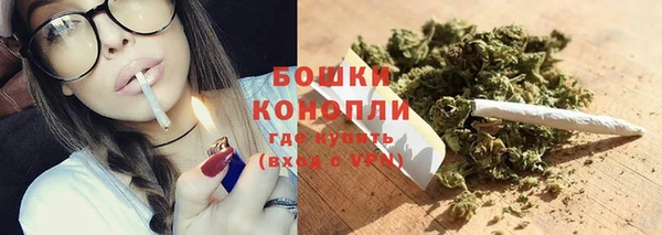 СК Аркадак