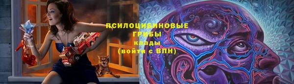 ПСИЛОЦИБИНОВЫЕ ГРИБЫ Баксан
