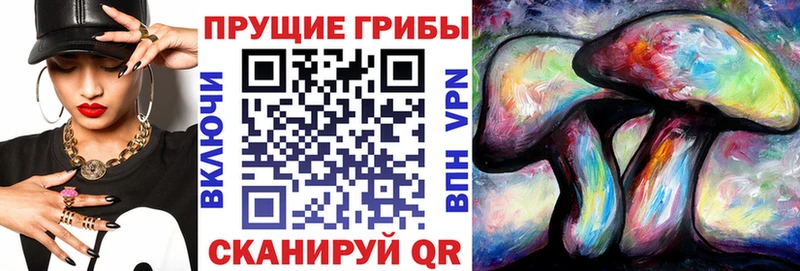 Псилоцибиновые грибы мицелий  наркота  Горняк 